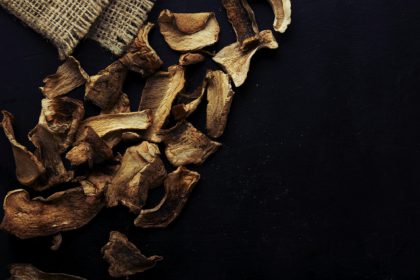 Ciuperci porcini uscate.