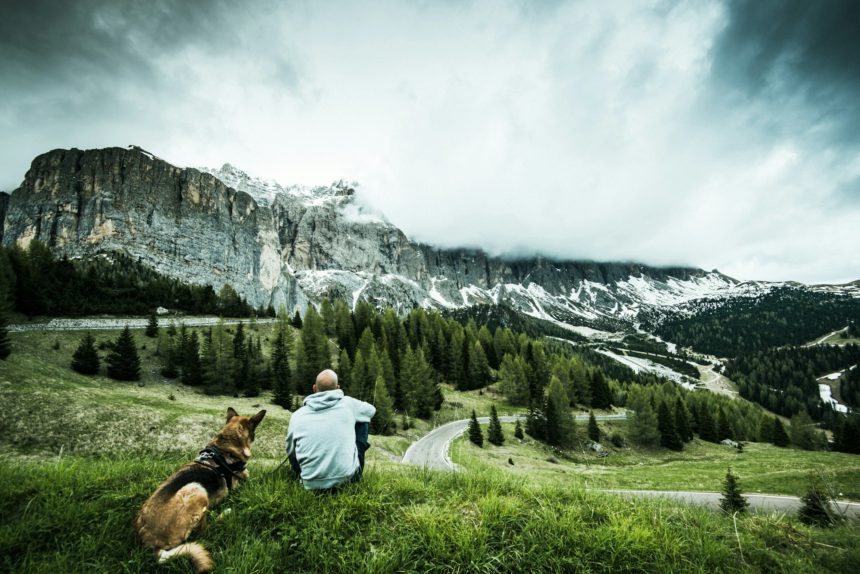 Bărbat cu câine într-o excursie rutieră la pasul Gardena din Italia, privind munții înalți.