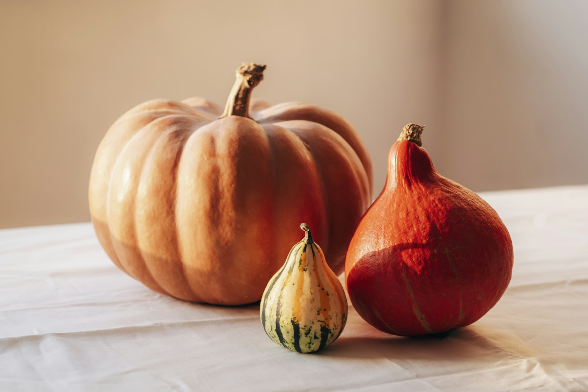 Diferiți dovleci pe o masă.