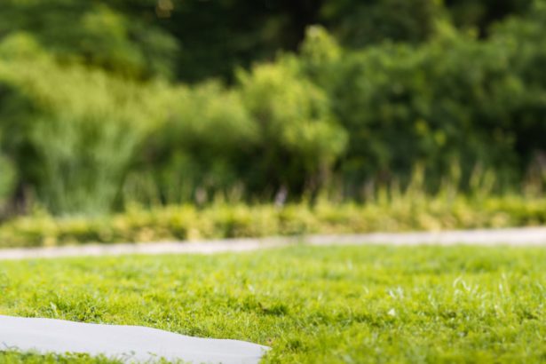 Doamnă flexibilă care practică yoga într-un parc public, femeie în îmbrăcăminte sport neagră stând pe saltea de fitness cu brațele și picioarele încrucișate, lucrând la puterea corpului, panoramă cu spațiu de copiere